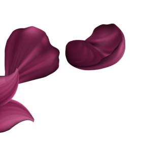 brown-leaf