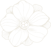 image 29