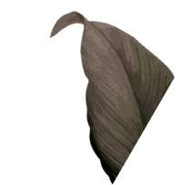 leaf2